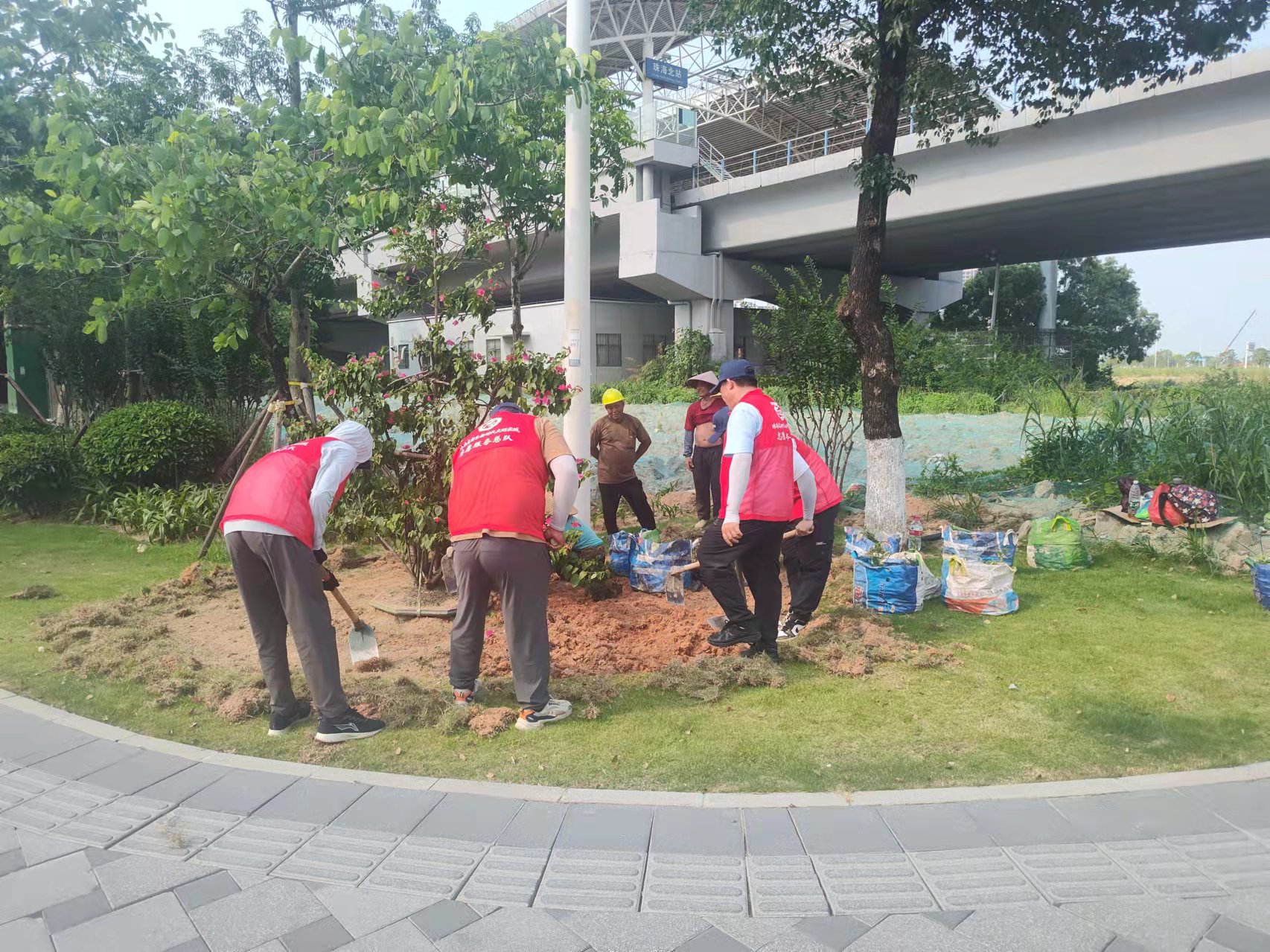 74630_1685687672_hd.jpeg